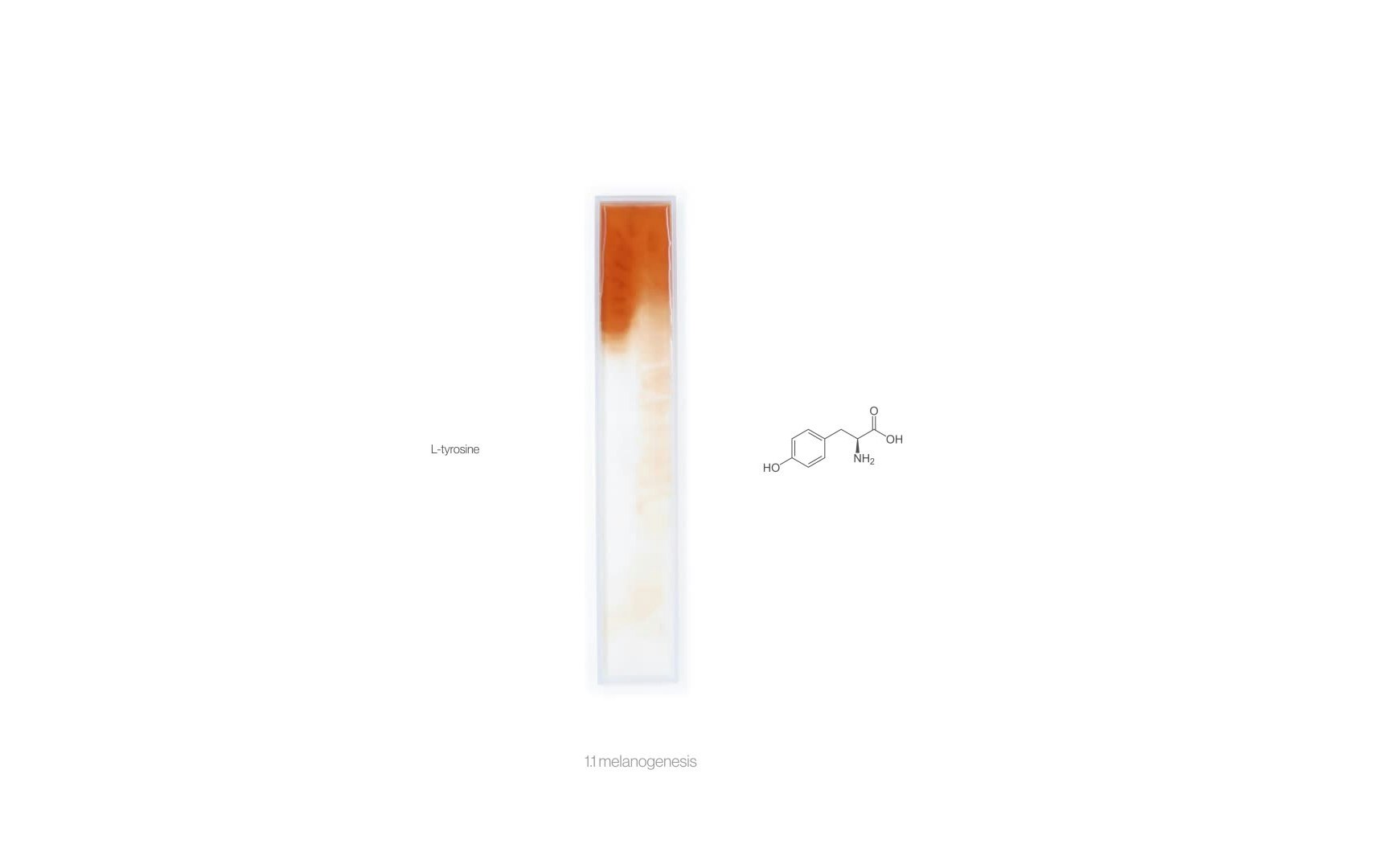 Totems Melanogenesis 720p Frame