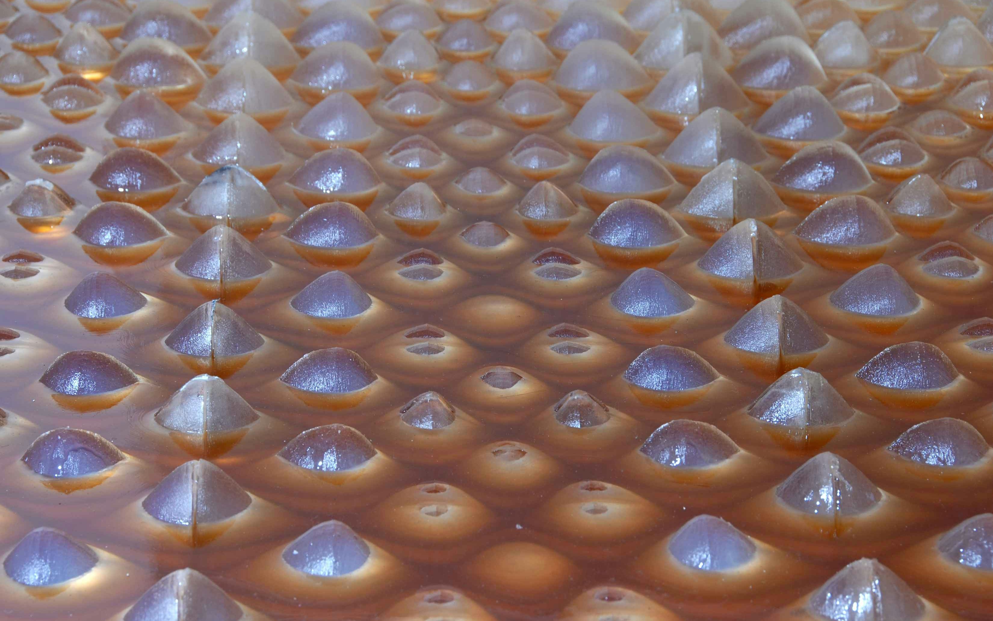 Cartesianwax Molded Surface