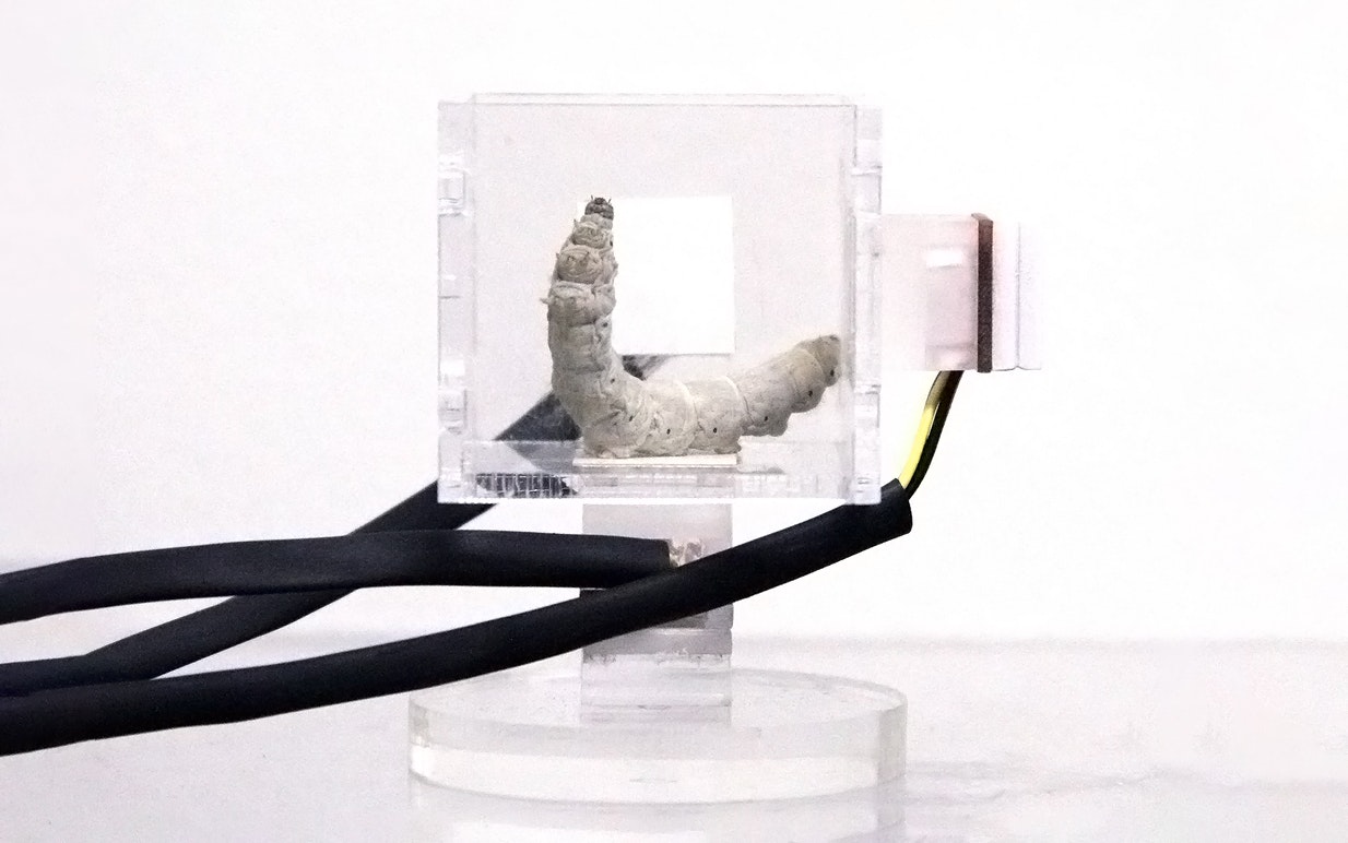 Silk I Motiontracking