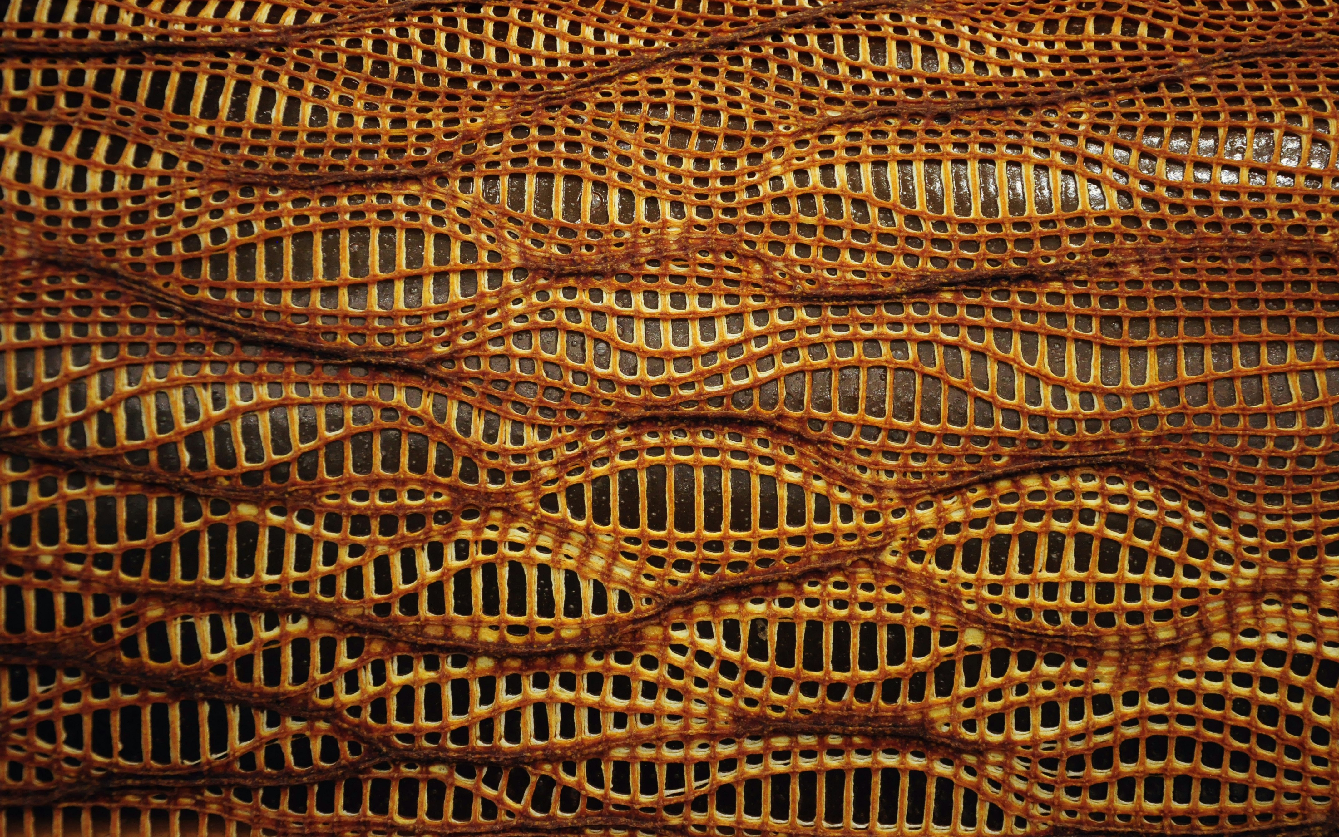 Aguahoja 3d Printed Chitosan Dsc 0344 Edit Copy